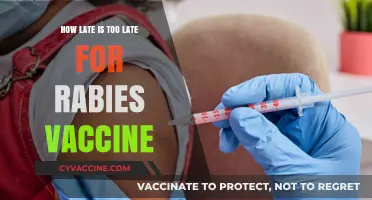 Is It Too Late for the Rabies Vaccine? Timing Explained