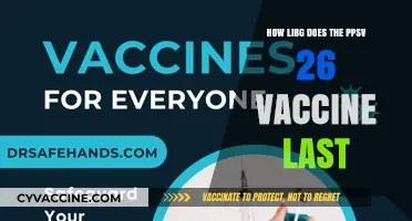 How Long Does the PPSV 26 Vaccine Provide Protection?