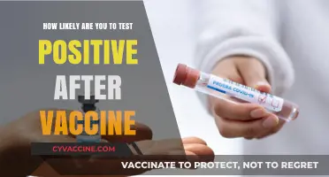 Post-Vaccination COVID-19 Test Results: Understanding False Positives and Accuracy