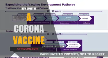 The Probability of a Coronavirus Vaccine: Realistic Expectations and Timelines