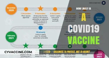 COVID-19 Vaccine Development: Assessing the Likelihood and Timeline