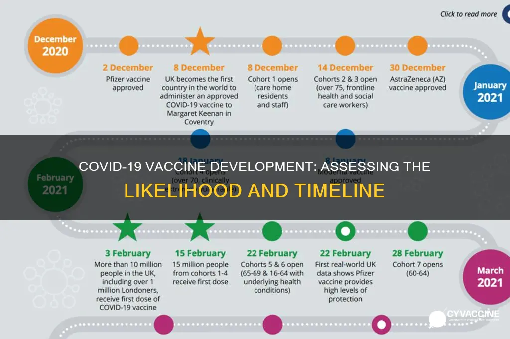 how likely is a covid19 vaccine