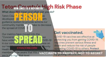 Vaccinated and Contagious: Understanding COVID-19 Transmission Risks Post-Vaccination
