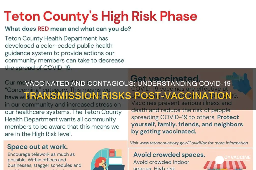 how likely is a vaccinated person to spread