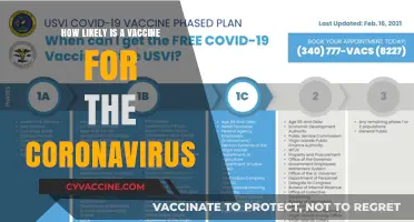 Coronavirus Vaccine Prospects: Assessing Feasibility, Timelines, and Challenges Ahead
