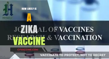 Zika Vaccine Development: Progress, Challenges, and Future Prospects