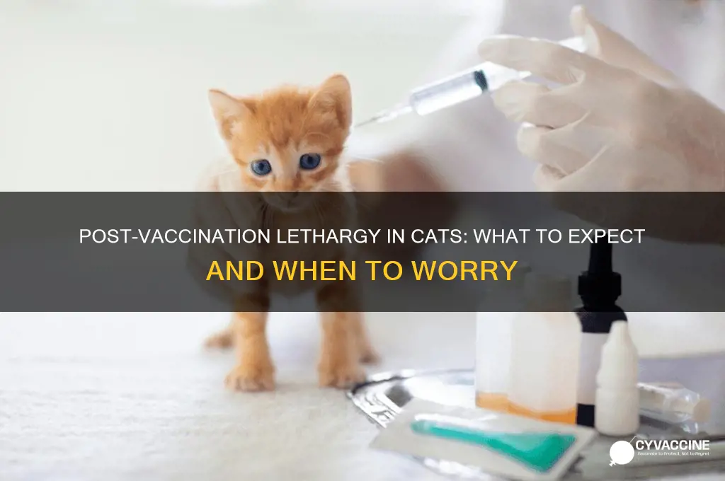 how likely is lethargic after my cat vaccinations