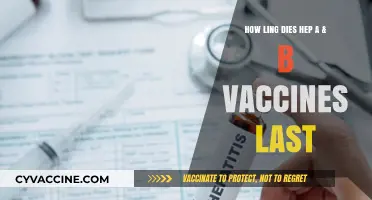 Hepatitis A & B Vaccines: Duration of Protection Explained