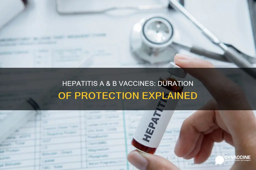 how ling dies hep a & b vaccines last