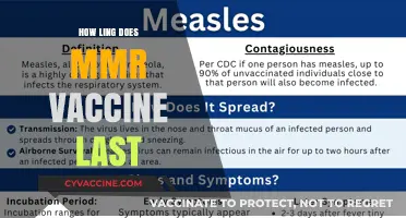 MMR Vaccine Longevity: How Long Does Immunity Truly Last?