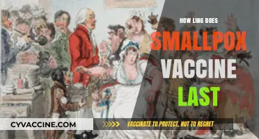 Smallpox Vaccine Duration: How Long Does Immunity Truly Last?