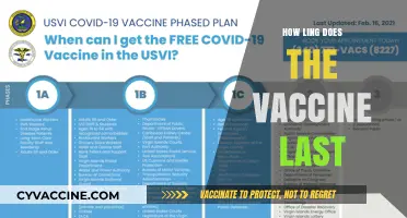 Understanding COVID-19 Vaccine Duration: How Long Does Protection Last?