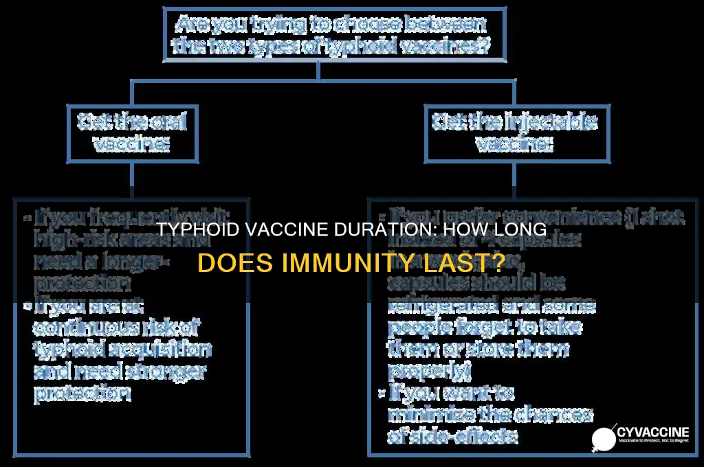 how ling does typhoid vaccine last