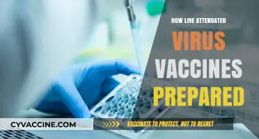 Understanding the Preparation of Live Attenuated Virus Vaccines