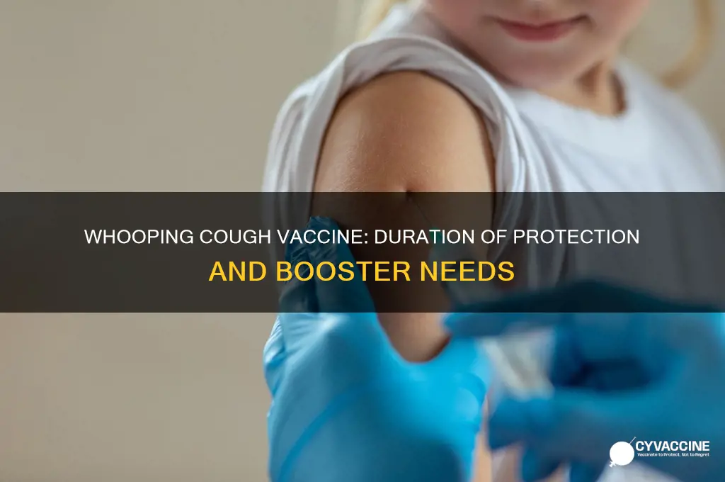 how lobg is the whooping cough vaccine good for