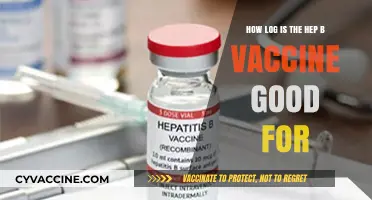 Hepatitis B Vaccine Longevity: How Long Does Protection Last?