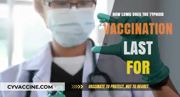Typhoid Vaccination Duration: How Long Does Immunity Last?