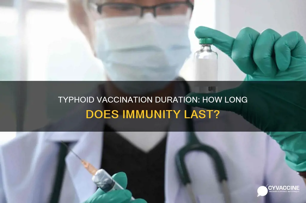 how lomg does the typhoid vaccination last for
