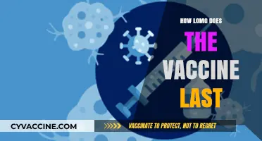 Understanding COVID-19 Vaccine Longevity: How Long Does Protection Last?