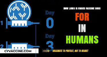 Rabies Vaccine Duration: How Long Does It Protect Humans?
