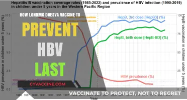 How Long Does HBV Vaccine Protection Last? Key Insights
