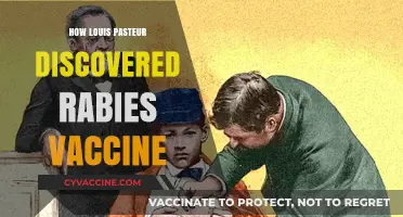 Louis Pasteur's Breakthrough: Unveiling the Discovery of the Rabies Vaccine