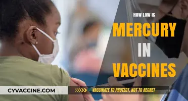 Mercury in Vaccines: Debunking Myths and Understanding Safe Levels
