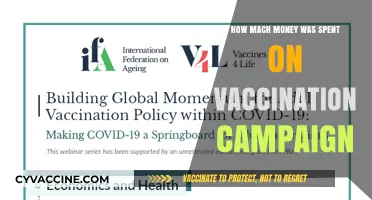 Global Vaccination Campaign Costs: A Breakdown of Spending and Impact