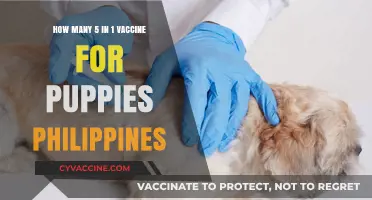 5-in-1 Puppy Vaccines in the Philippines: Essential Guide for Pet Owners