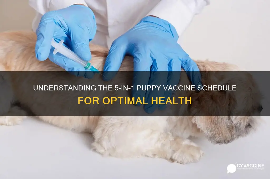 how many 5 in 1 vaccine for puppies