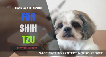 Shih Tzu 5-in-1 Vaccine Schedule: Essential Guide for Pet Owners
