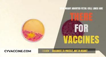Aborted Fetal Cell Lines in Vaccines: Understanding Their Use and Count