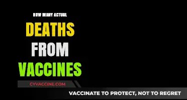 Vaccine Safety: Separating Fact from Fiction on Reported Deaths