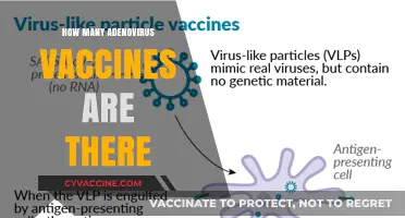 Exploring the Number of Adenovirus Vaccines Available Worldwide