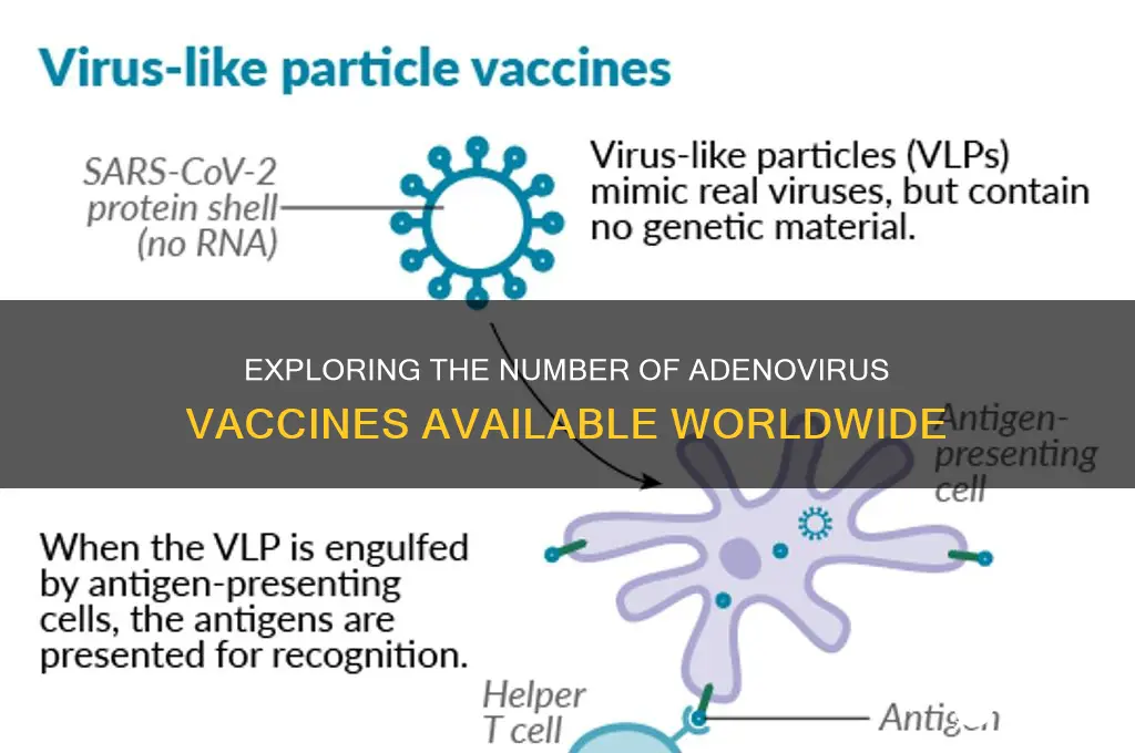 how many adenovirus vaccines are there