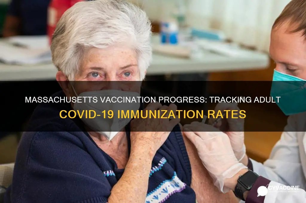 how many adults have been vaccinated in massachusetts