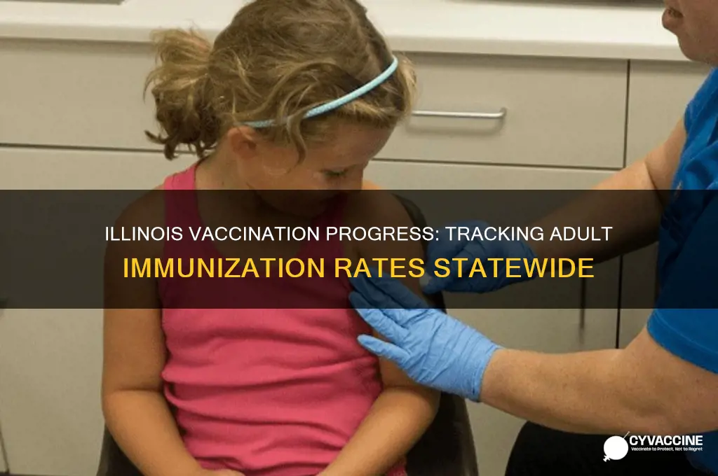 how many adults vaccinated in illinois