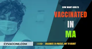Massachusetts Adult Vaccination Rates: Current Data and Insights