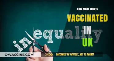 UK Adult Vaccination Rates: Current Numbers and Trends Explained