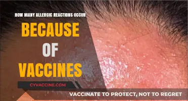 Vaccine Allergic Reactions: Frequency, Causes, and Safety Measures Explained