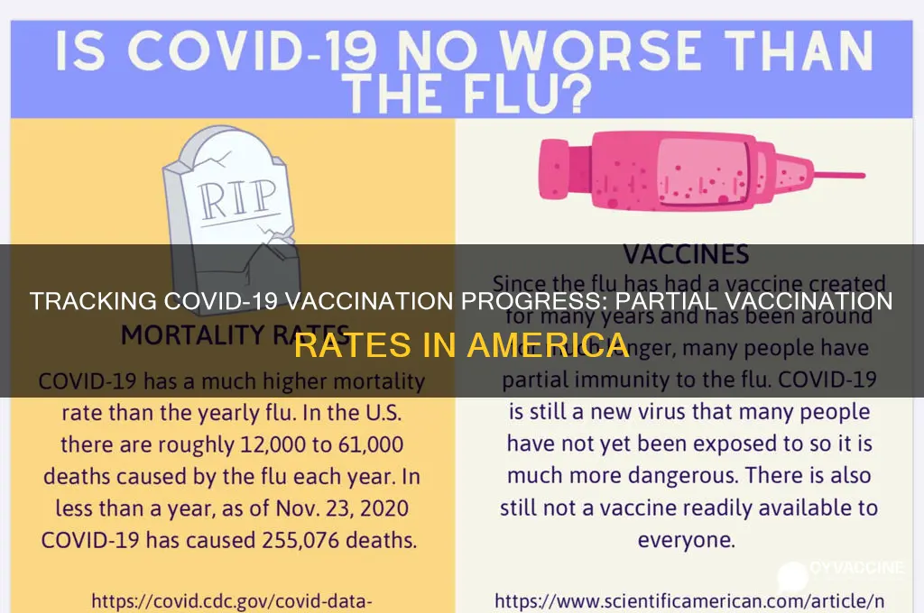 how many americans are at least partially vaccinated