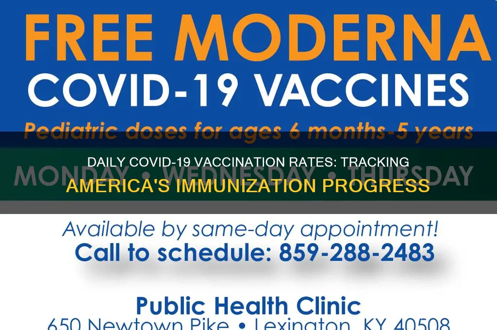 how many americans are being vaccinated a day