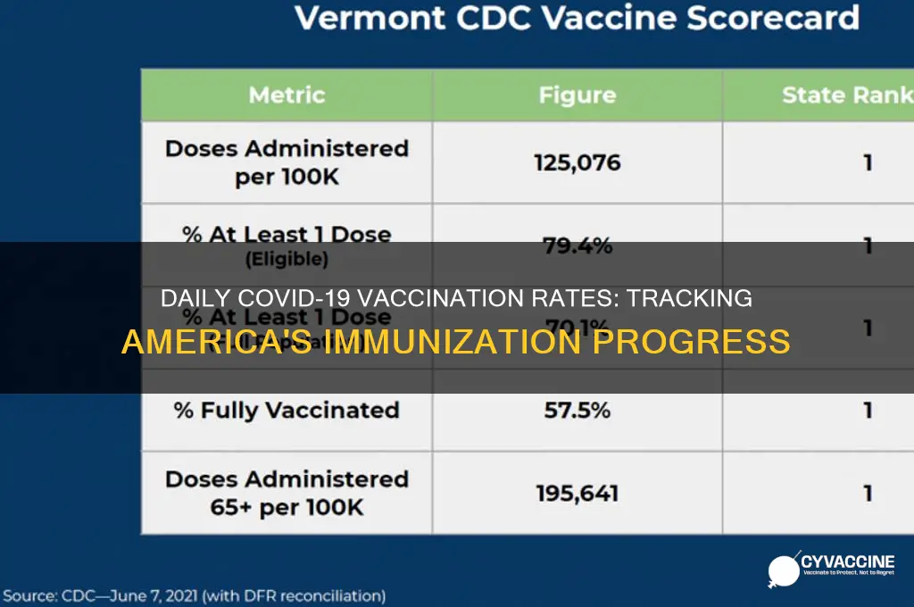 how many americans are vaccinated daily