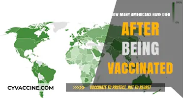 Vaccine-Related Deaths in America: Separating Facts from Misinformation