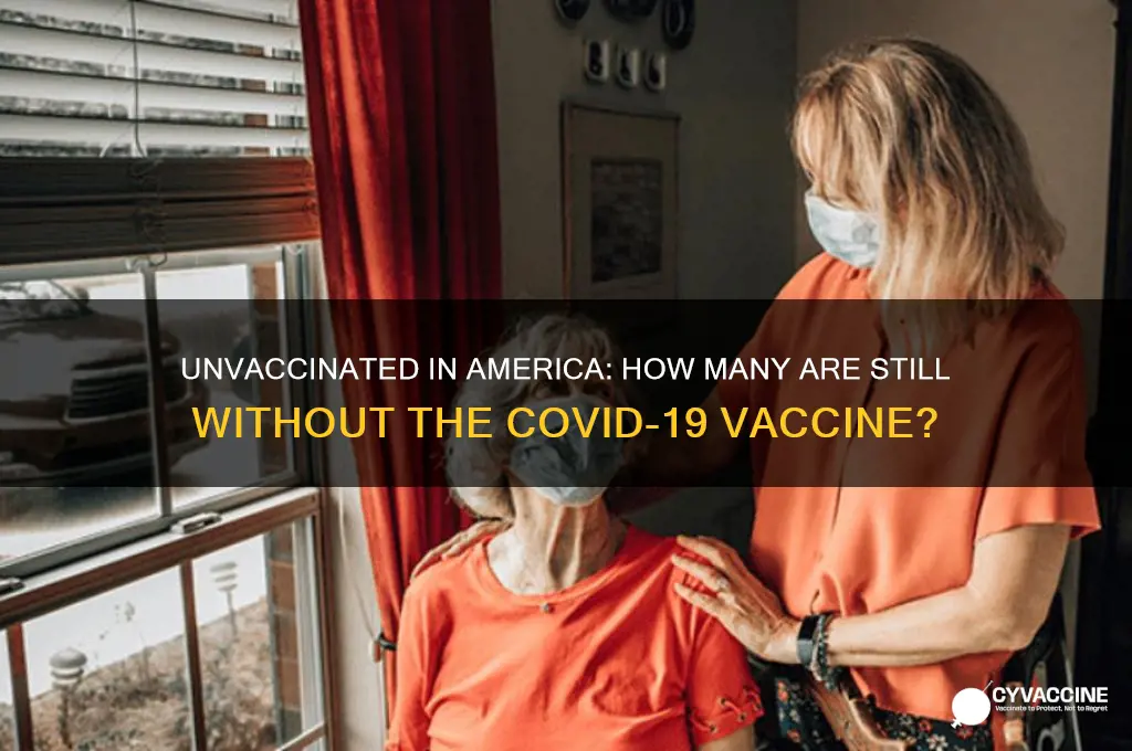 how many americans have not gotten the vaccine