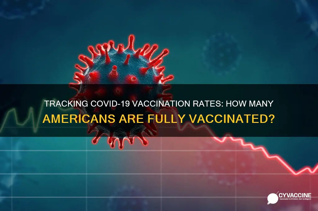 how many amerixans have been vaccinated