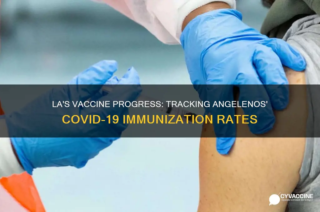 how many angelenos have been vaccinated