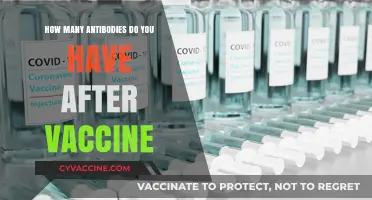 Understanding Your Antibody Levels Post-Vaccination: What You Need to Know