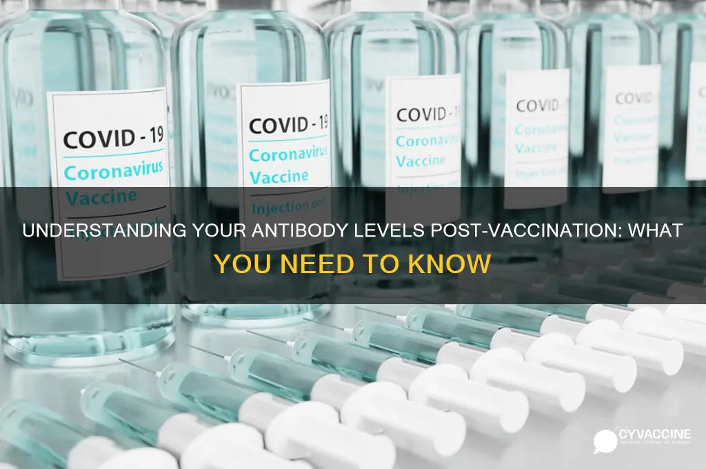 how many antibodies do you have after vaccine