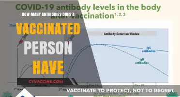 Vaccinated Individuals: Understanding Antibody Levels and Immune Response
